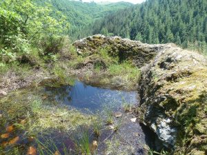 Lire la suite à propos de l’article Le Roc des Anglais