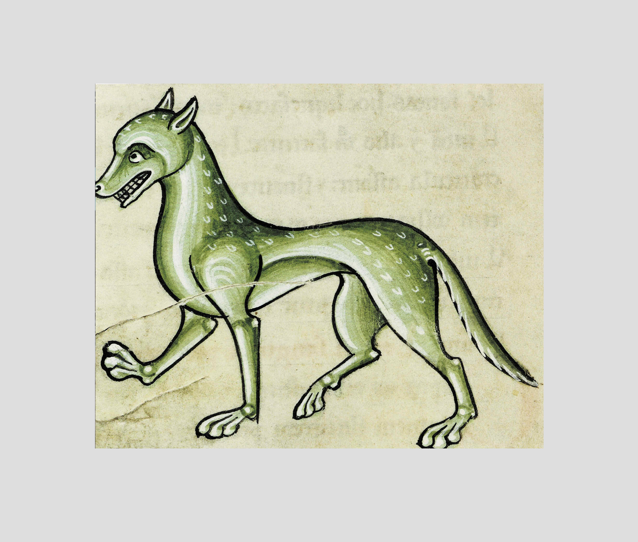 Loup, y-es-tu ?