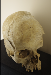 Lire la suite à propos de l’article L&rsquo;oppidum de Montmerlhe