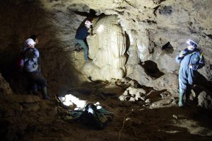 Lire la suite à propos de l’article Las Fonts: la préhistoire à portée de lampe