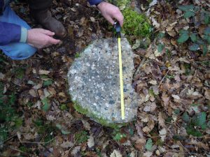 Lire la suite à propos de l’article Les meulières de Marèze à Saint-Martin-Laguépie