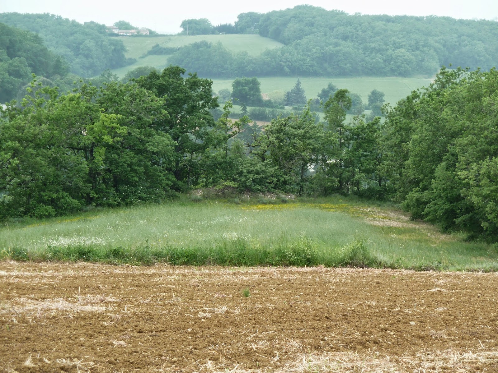 Petite virée en terres connues