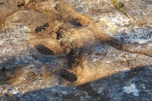 Lire la suite à propos de l’article Les cupules : œuvres des hommes ou de la nature ?