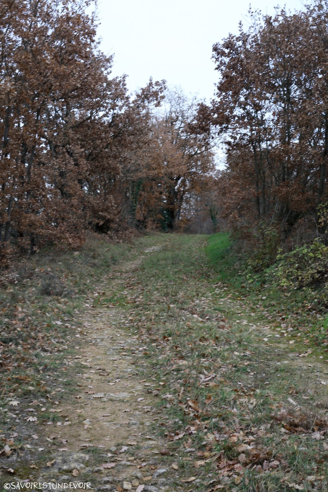 Sur la route de Léjos