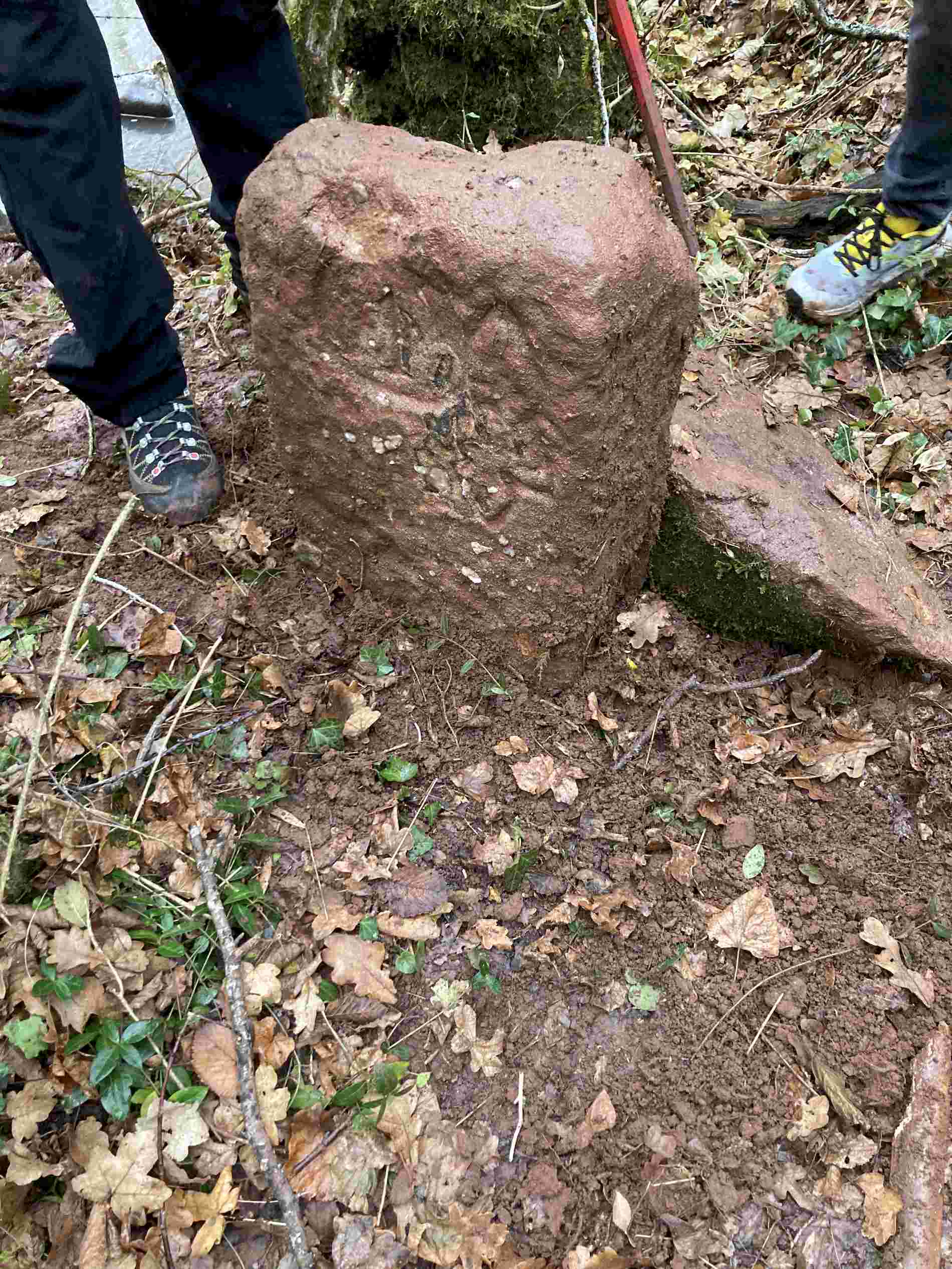 Lire la suite à propos de l’article Bornes de Grésigne : décembre 2025